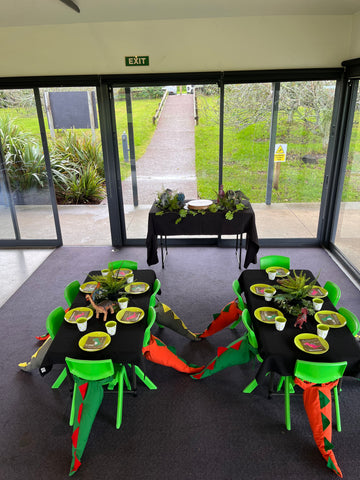 Dinosaur Party Package