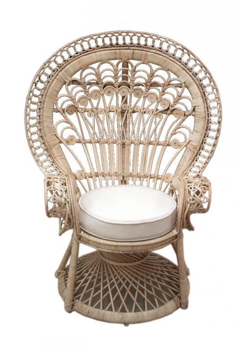 Peacock Kids Chair (For Hire)