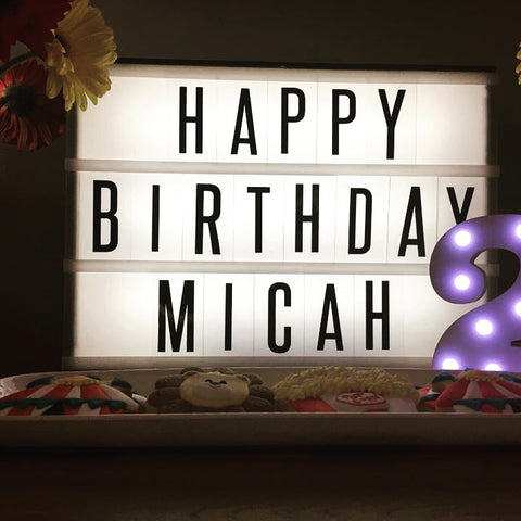 Light Box - A3 (For Hire)