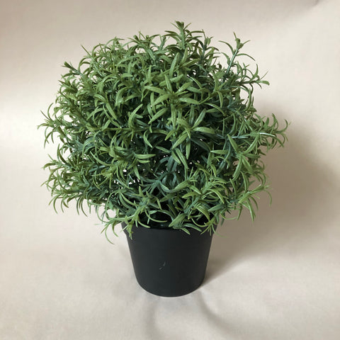 Rosemary (For Hire)