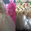 Fairy Dresses, Rack and Coat Hangers