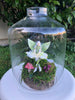 Premium Woodland Fairy Package