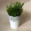 White Pot